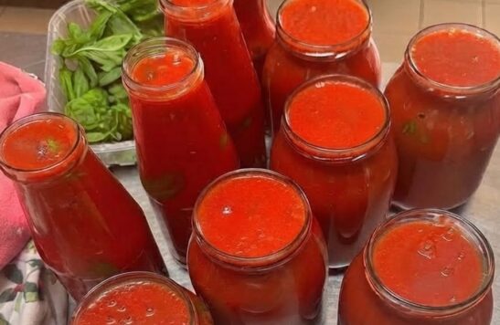 conserve di pomodori